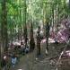 obozy-paintballowe-img_20200714_110304-oboz-paintballowo-quadowy.jpg