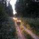 obozy-quadowe-wandrus-mazury-img_6451-oboz-quadowy-gokartowy-paintballowy.jpg