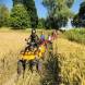 obozy-quadowe-wandrus-mazury-img_6460-oboz-quadowy-gokartowy-paintballowy.jpg