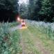 obozy-quadowe-wandrus-mazury-img_6578-oboz-quadowy-gokartowy-paintballowy.jpg