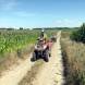 obozy-quadowe-wandrus-img_20200811_113970-quady-paintball.jpg