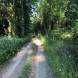 obozy-quadowe-wandrus-img_6258.jpg