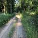 obozy-quadowe-wandrus-img_6263.jpg