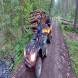 obozy_paintballowe_quadowe_przygody_wandrus_105754.jpg