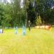 z-psem_na_wakacje_oboz_dla_dzieci_i_mlodziezy_z_wlasnym_psem_wandrus_img_20220706_192808.jpg