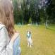z-psem_na_wakacje_oboz_dla_dzieci_i_mlodziezy_z_wlasnym_psem_wandrus_img_20220706_192830.jpg