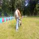 z-psem_na_wakacje_oboz_dla_dzieci_i_mlodziezy_z_wlasnym_psem_wandrus_img_20220706_192924.jpg