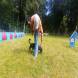z-psem_na_wakacje_oboz_dla_dzieci_i_mlodziezy_z_wlasnym_psem_wandrus_img_20220706_192925.jpg