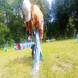 z-psem_na_wakacje_oboz_dla_dzieci_i_mlodziezy_z_wlasnym_psem_wandrus_img_20220706_192934.jpg