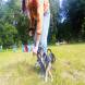 z-psem_na_wakacje_oboz_dla_dzieci_i_mlodziezy_z_wlasnym_psem_wandrus_img_20220706_192936.jpg