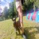 z-psem_na_wakacje_oboz_dla_dzieci_i_mlodziezy_z_wlasnym_psem_wandrus_img_20220706_192969.jpg