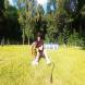z-psem_na_wakacje_oboz_dla_dzieci_i_mlodziezy_z_wlasnym_psem_wandrus_img_20220706_193031.jpg