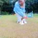 z-psem_na_wakacje_oboz_dla_dzieci_i_mlodziezy_z_wlasnym_psem_wandrus_img_20220706_193076.jpg