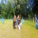 z-psem_na_wakacje_oboz_dla_dzieci_i_mlodziezy_z_wlasnym_psem_wandrus_img_20220706_193110.jpg