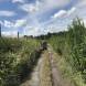 quady-obozy-quadowe-paintballowe-gokartowe-wandrus-img_1993.jpg