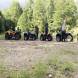 quady-obozy-quadowe-paintballowe-gokartowe-wandrus-img_2102.jpg