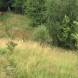paintball-obozy-paintballowe-quadowe-gokartowe-wandrus-img_0842.jpg