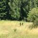 paintball-obozy-paintballowe-quadowe-gokartowe-wandrus-img_0851.jpg