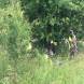 paintball-obozy-paintballowe-quadowe-gokartowe-wandrus-img_0907.jpg