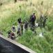 paintball-obozy-paintballowe-quadowe-gokartowe-wandrus-img_0948.jpg
