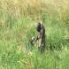 paintball-obozy-paintballowe-quadowe-gokartowe-wandrus-img_0951.jpg