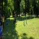 z-psem-na-wakacje-oboz-wandrusa-dla-dzieci-i-mlodziezy-z-wlasnym-psem-turnus-pierwszy-2022-img_20220703_113859778.jpg
