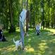 z-psem-na-wakacje-oboz-wandrusa-dla-dzieci-i-mlodziezy-z-wlasnym-psem-turnus-pierwszy-2022-img_20220703_113859794.jpg