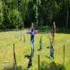 z-psem-na-wakacje-oboz-wandrusa-dla-dzieci-i-mlodziezy-z-wlasnym-psem-turnus-pierwszy-2022-img_20220703_113859813.jpg
