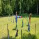 z-psem-na-wakacje-oboz-wandrusa-dla-dzieci-i-mlodziezy-z-wlasnym-psem-turnus-pierwszy-2022-img_20220703_113859814.jpg