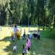 z-psem-na-wakacje-oboz-wandrusa-dla-dzieci-i-mlodziezy-z-wlasnym-psem-turnus-pierwszy-2022-img_20220703_113859781.jpg