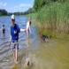 z-psem-na-wakacje-oboz-wandrusa-dla-dzieci-i-mlodziezy-z-wlasnym-psem-turnus-pierwszy-2022-img_20220703_113859834.jpg