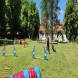 z-psem-na-wakacje-oboz-wandrusa-dla-dzieci-i-mlodziezy-z-wlasnym-psem-turnus-pierwszy-2022-img_20220703_113859780.jpg