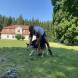 z-psem-na-wakacje-oboz-wandrusa-dla-dzieci-i-mlodziezy-z-wlasnym-psem-img_0398.jpg