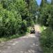 wyprawy-quadowe-w-teren-obozy-quadowe-paintballowe-gokartowe-wandrus-turnus-trzeci-2022-img_5560.jpg