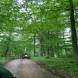 quady-wyprawy-quadowe-w-teren-obozy-quadowo-gokartowo-paintballowe-wandrus-turnus-czwarty-2022-img_3705.jpg