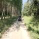 quady-wyprawy-quadowe-w-teren-obozy-quadowo-gokartowo-paintballowe-wandrus-turnus-czwarty-2022-img_3598.jpg