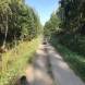 quady-wyprawy-quadowe-w-teren-obozy-quadowo-gokartowo-paintballowe-wandrus-turnus-czwarty-2022-img_3614.jpg