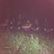 quady-nocna-wyprawa-obozy-paintballowo-quadowo-gokartowe-wandrus-turnus-pierwszy-2022-img_7535.jpg