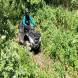 quady-wyprawy-quadowe-obozy-quadowo-paintballowo-gokartowe-wandrus-turnus-pierwszy-2022-img_7338.jpg
