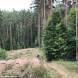 obozy_quadowe_gokartowe_paintballowe_asg_wandrus_1697.jpg