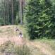 obozy_quadowe_gokartowe_paintballowe_asg_wandrus_1703.jpg