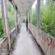 obozy_quadowe_paintballowe_gokartowe_wandrus_115311.jpg
