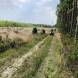 wandrus_obozy_quadowe_paintballowe_gokartowe_asg_wyprawa_quadowa_w_terenie_img_1183.jpg
