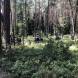 wandrus_obozy_quadowe_paintballowe_gokartowe_asg_wyprawa_quadowa_w_terenie_img_1269.jpg