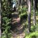 wandrus_obozy_quadowe_paintballowe_gokartowe_asg_wyprawa_quadowa_w_terenie_img_1275.jpg