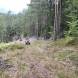 obozy-quuadowe-wandrus-wyprawy-w-teren-img_2143.jpg