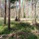oboz-quadowo-paintballowo-gokartowy-wyprawy-quadowe-wandrus-img_20230714_150747.jpg