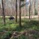 oboz-quadowo-paintballowo-gokartowy-wyprawy-quadowe-wandrus-img_20230714_150748.jpg
