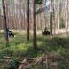 oboz-quadowo-paintballowo-gokartowy-wyprawy-quadowe-wandrus-img_20230714_150749.jpg