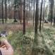 oboz-quadowo-paintballowo-gokartowy-wyprawy-quadowe-wandrus-img_20230714_150794.jpg
